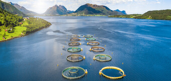 Suruõhukompressor vesiviljeluses rakendatuna – optimeeritud energiaga lahendus ettevõttelt KAESER KOMPRESSOREN jätkusuutliku suruõhuvajaduse jaoks.