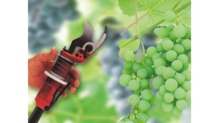 KAESERi tööstuslikud kolbkompressorid veinitootmises.